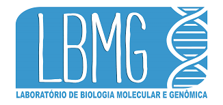 LBMG