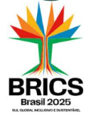 BRICS Brasil 2025